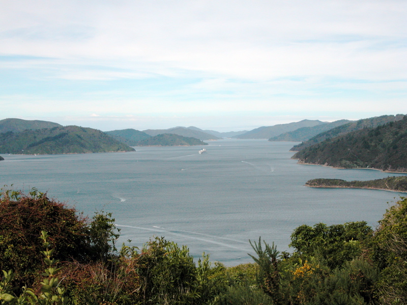 Marlborough Sounds, New Zealand
