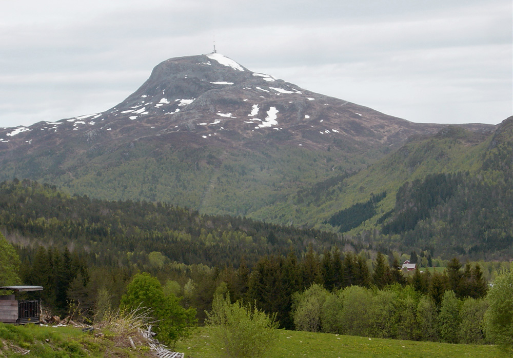 Reinsfjellet