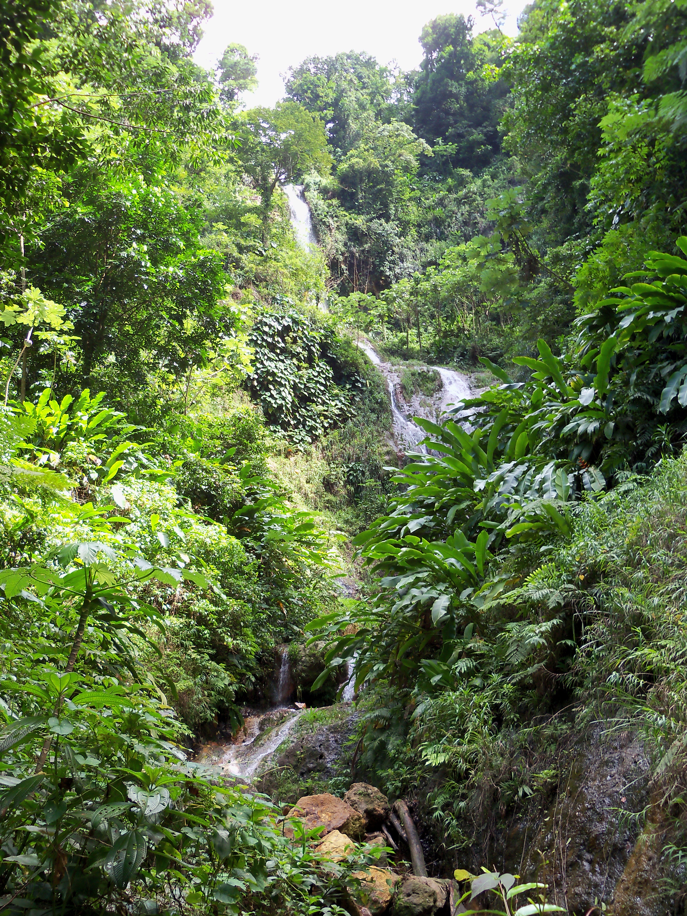 Tufton Hall Waterfall