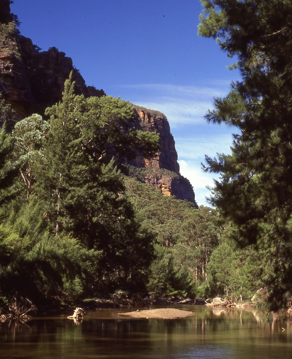 Wollemi National Park, Australia