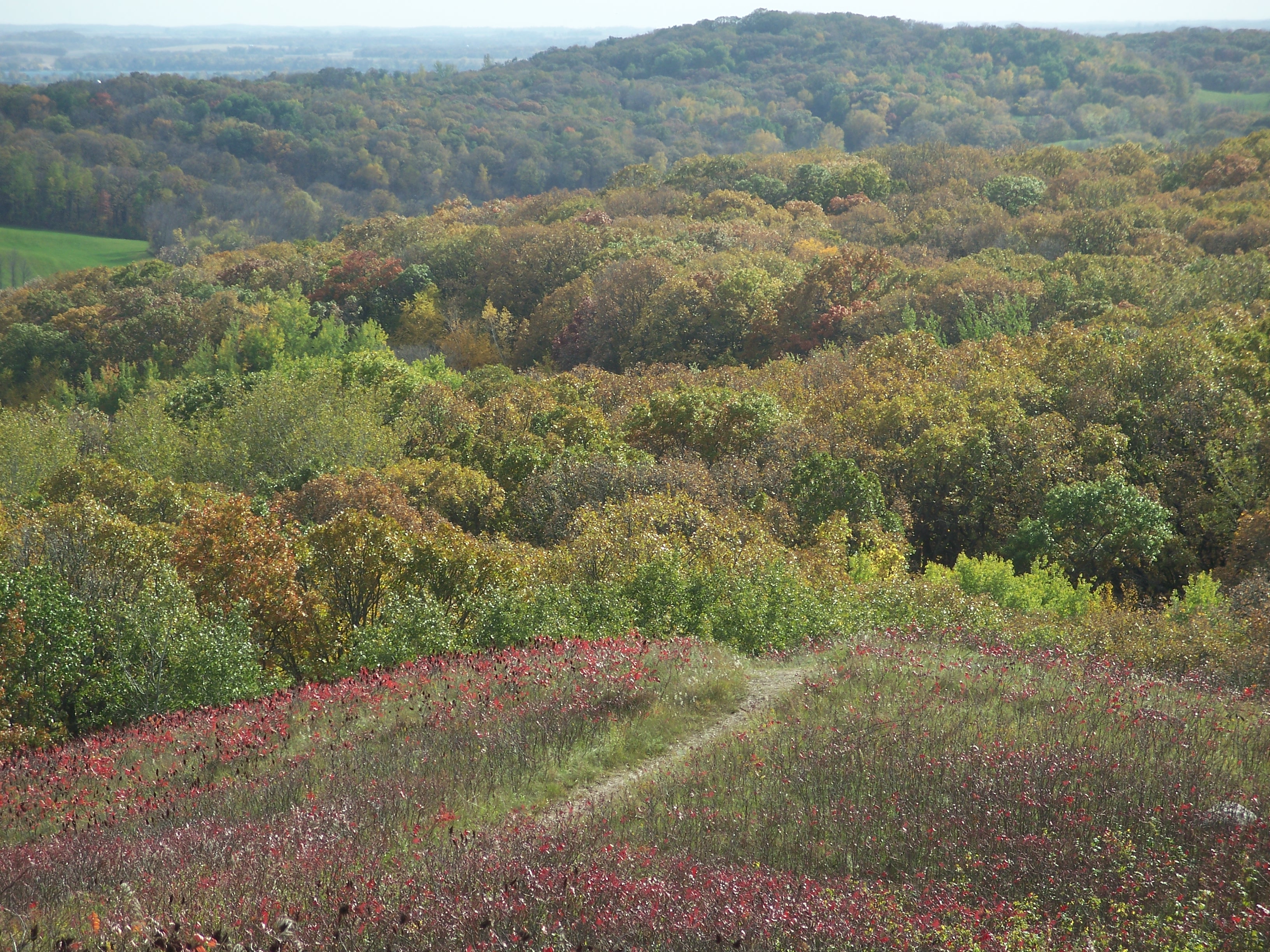 Inspiration Peak