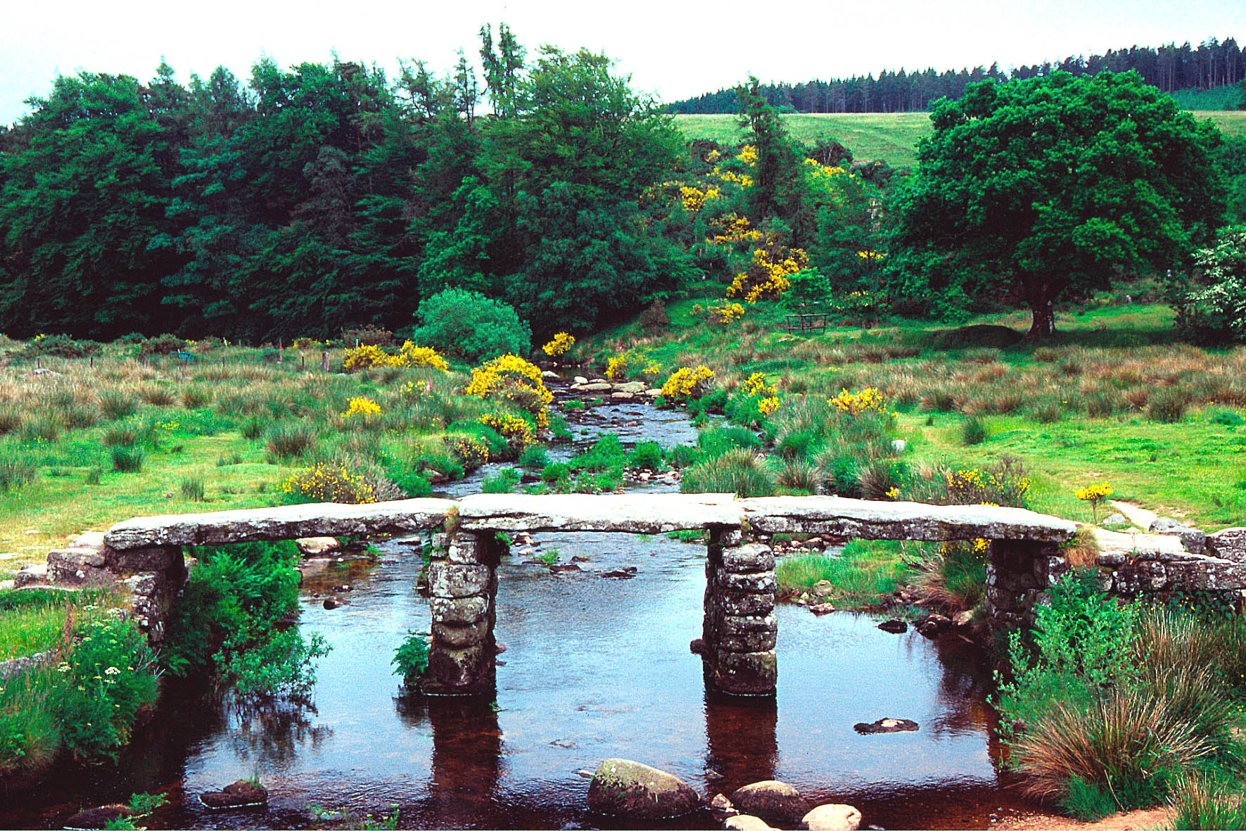 Dartmoor National Park, United Kingdom