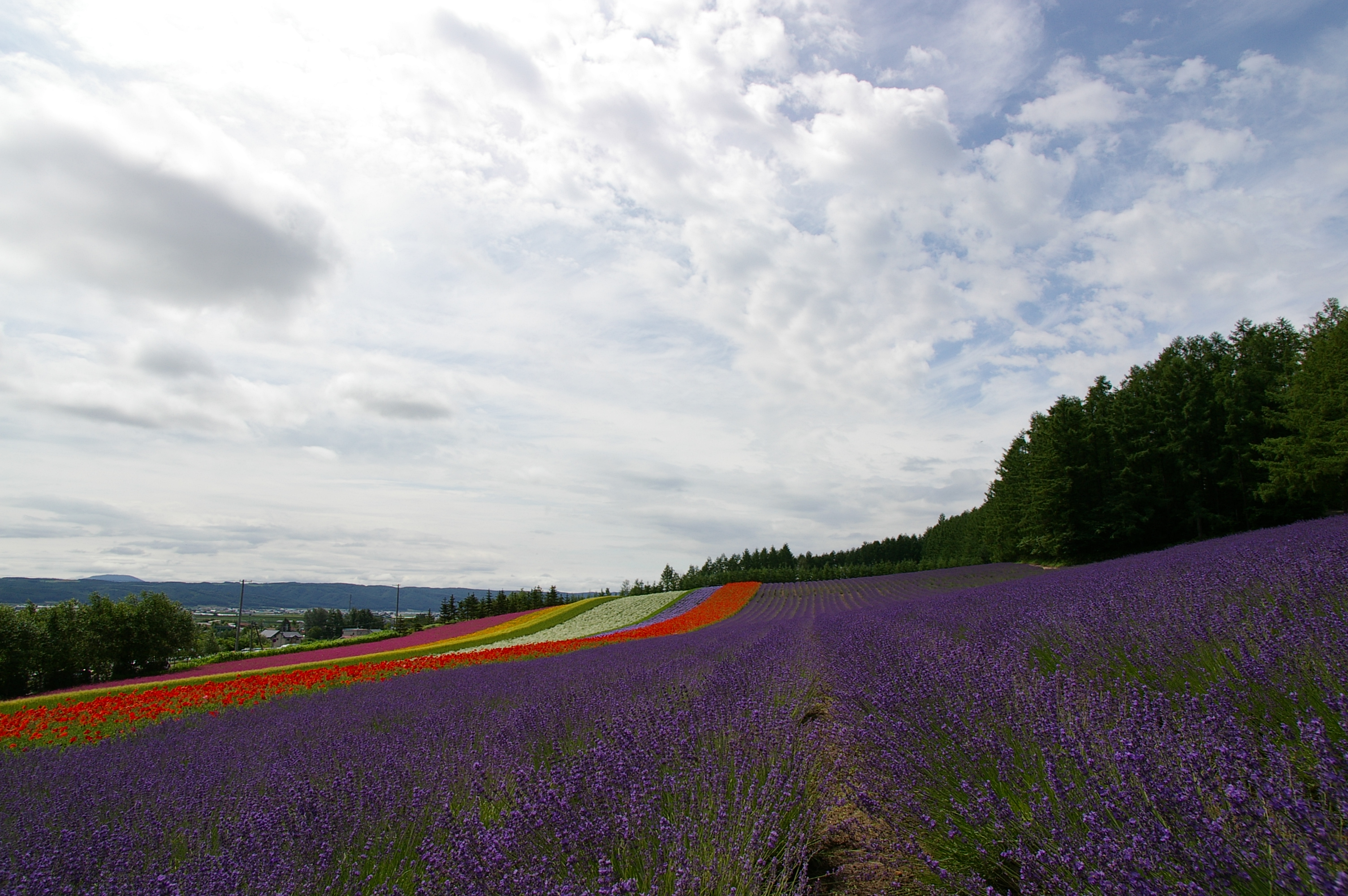 Furano, Japan