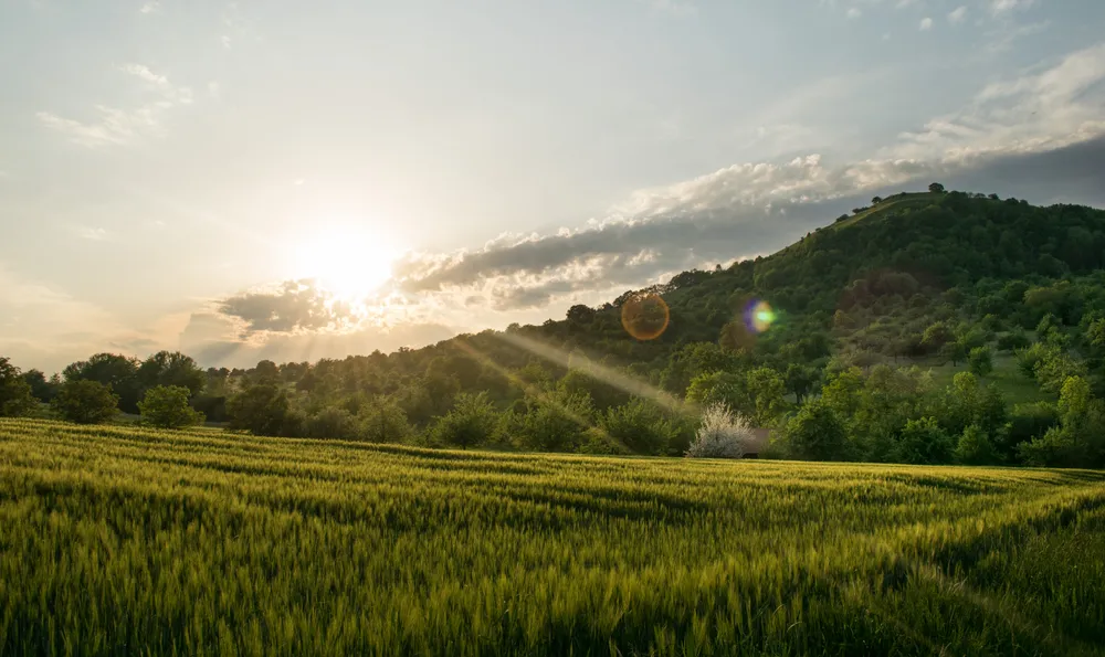 Limburg