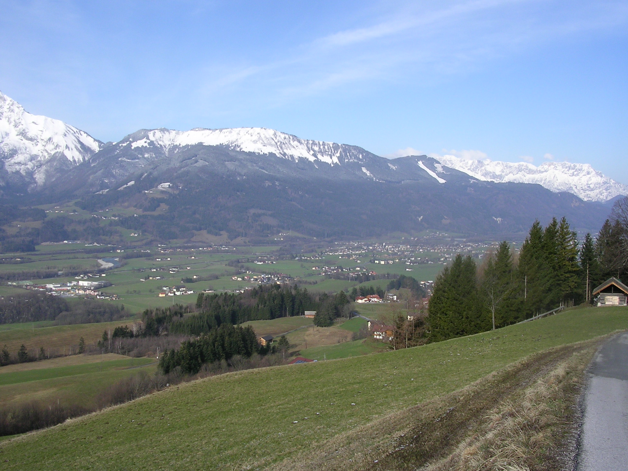 Ahornbüchsenkopf