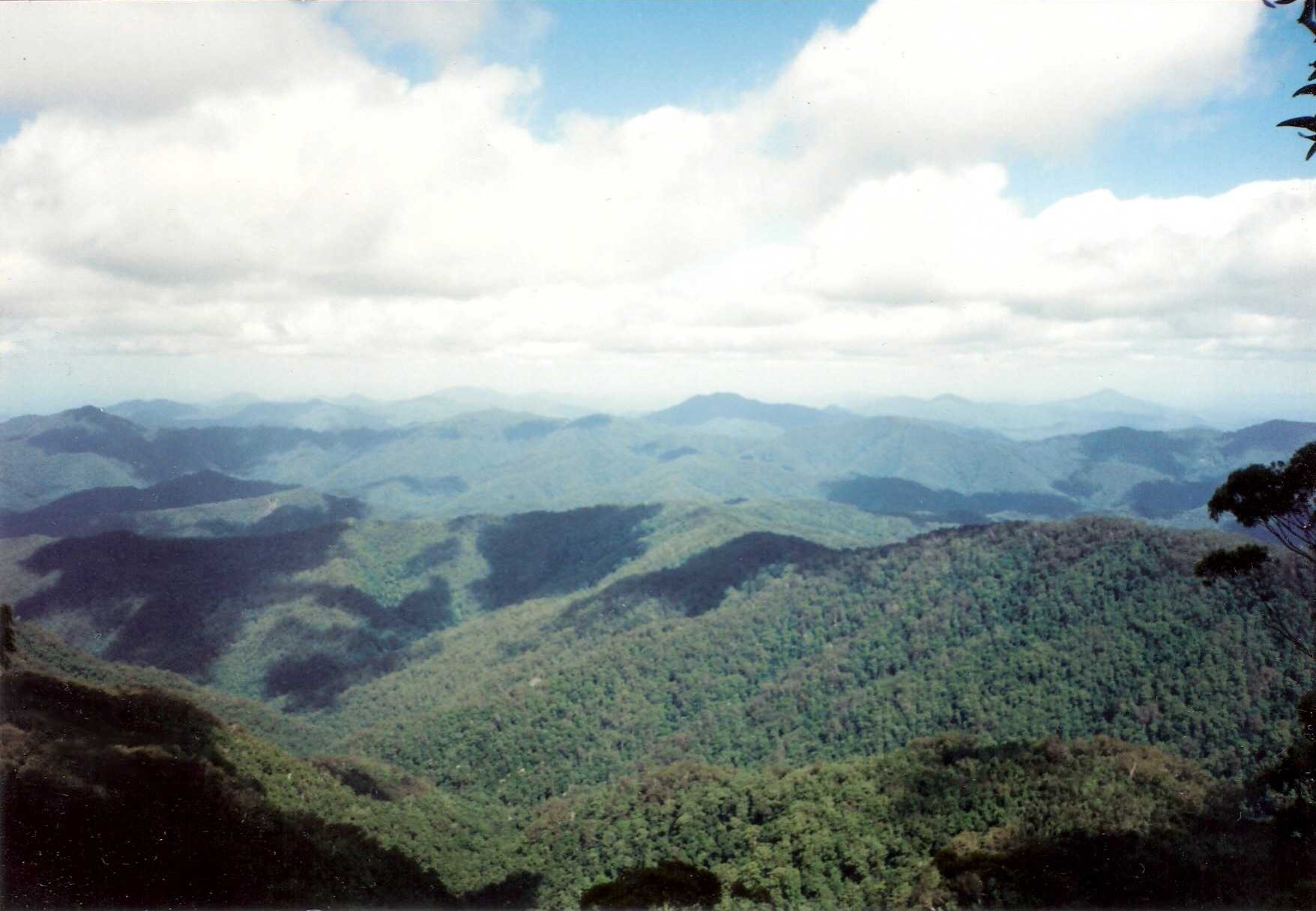 New England National Park