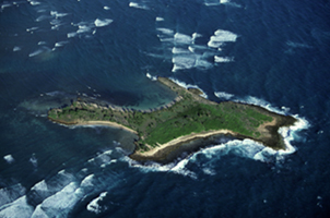 Goat Island