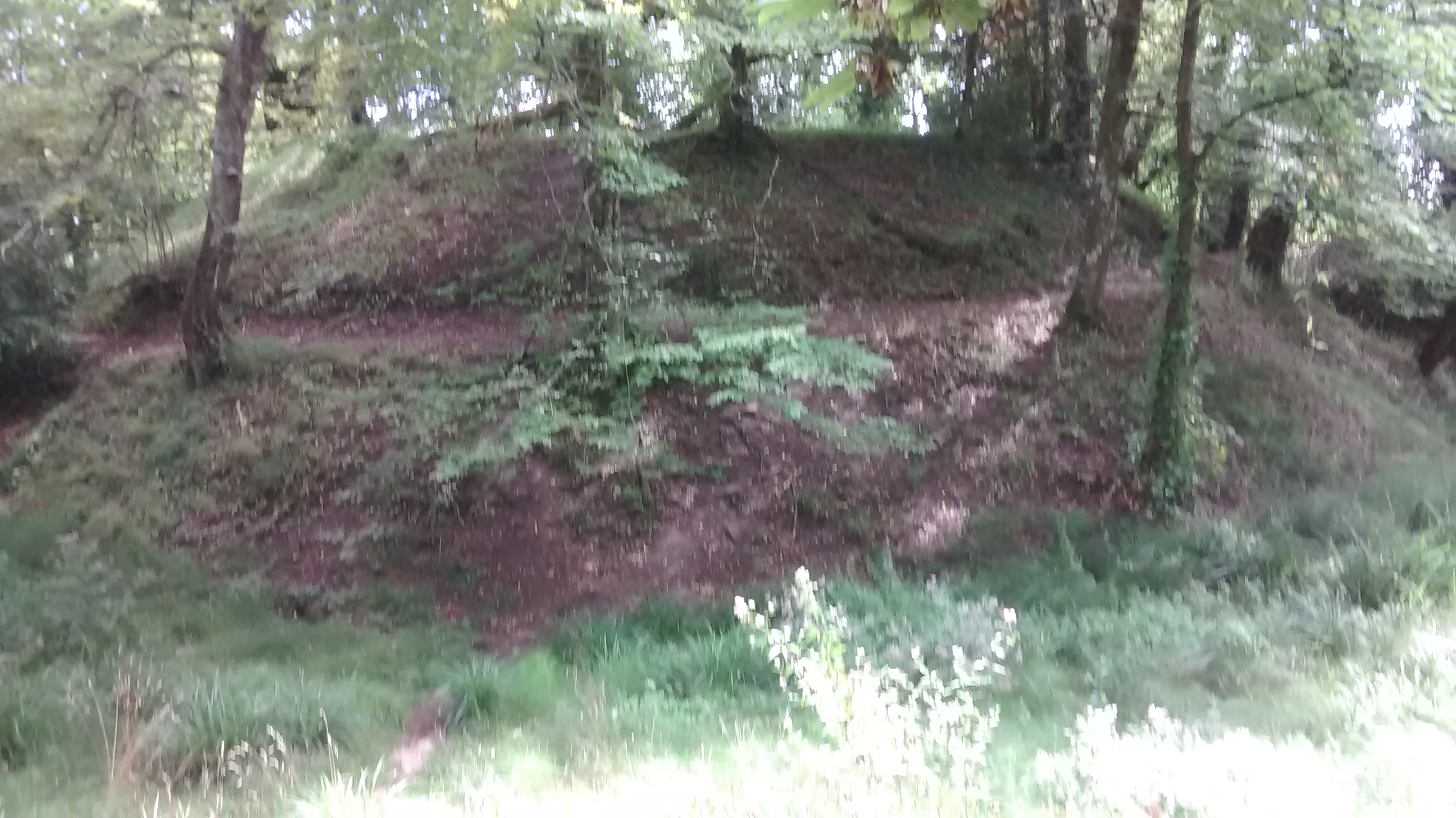 Motte Saint-Albe