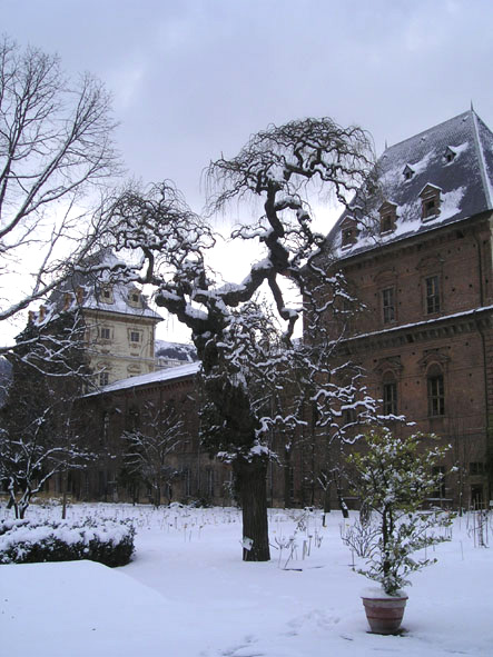 Orto Botanico dell'Università di Torino