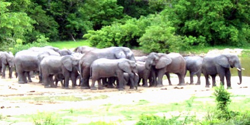 Kamuku National Park