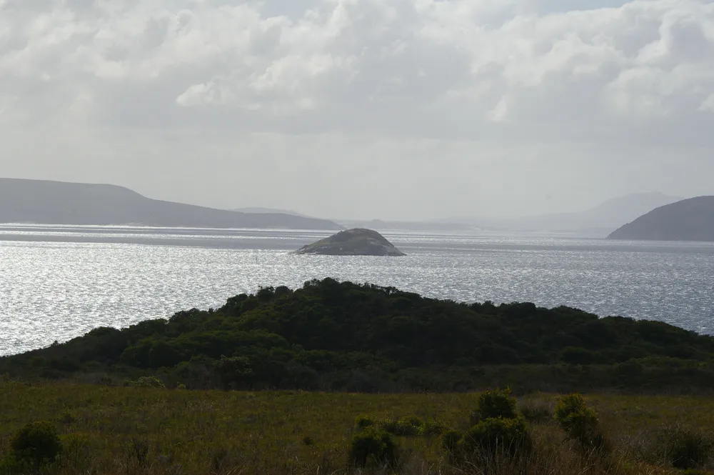 Seal Island