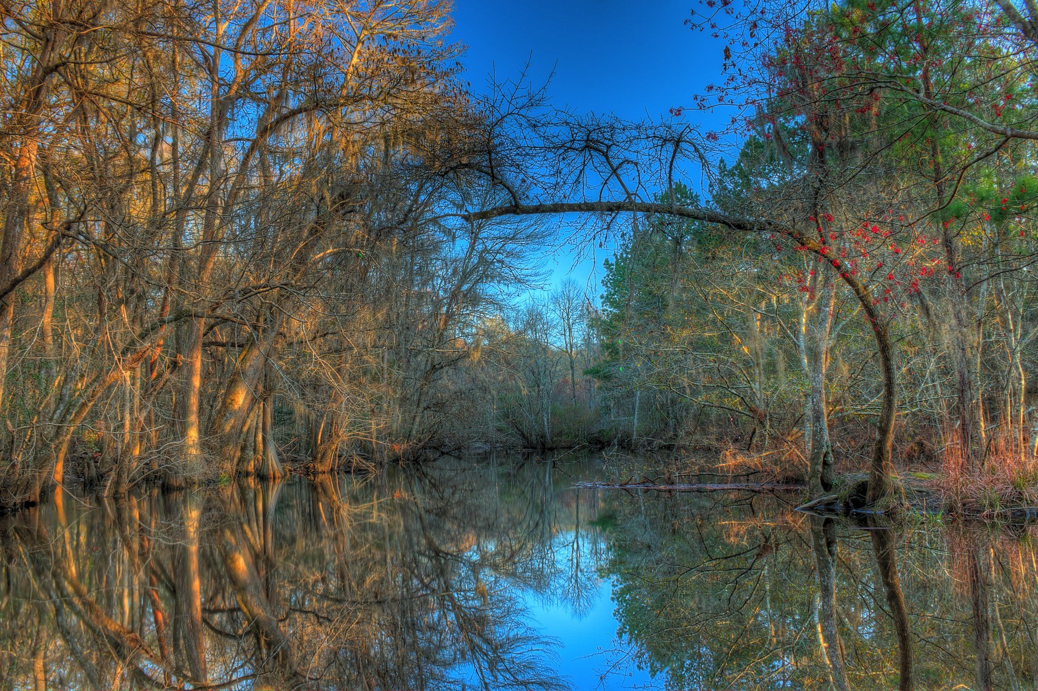 Plantation Midlands, United States