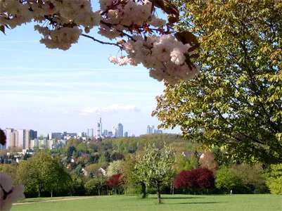 Lohrberg (Frankfurt)