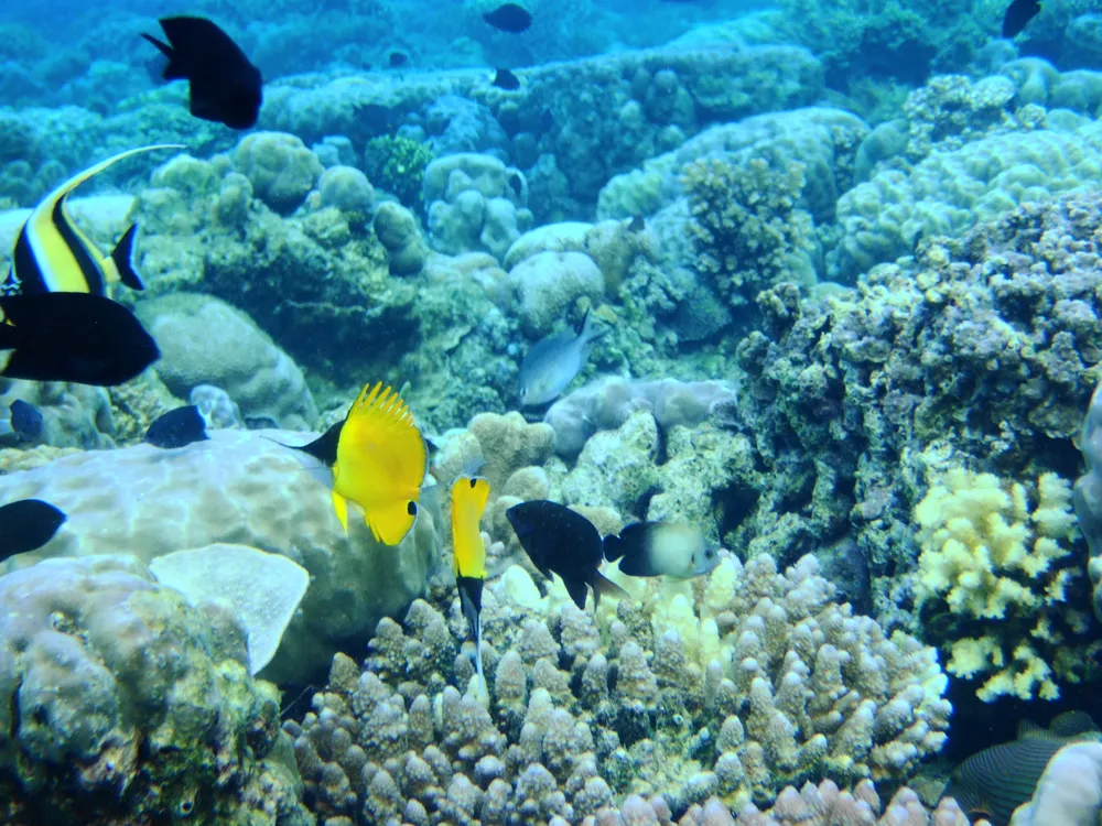 North Sulawesi, Indonesia