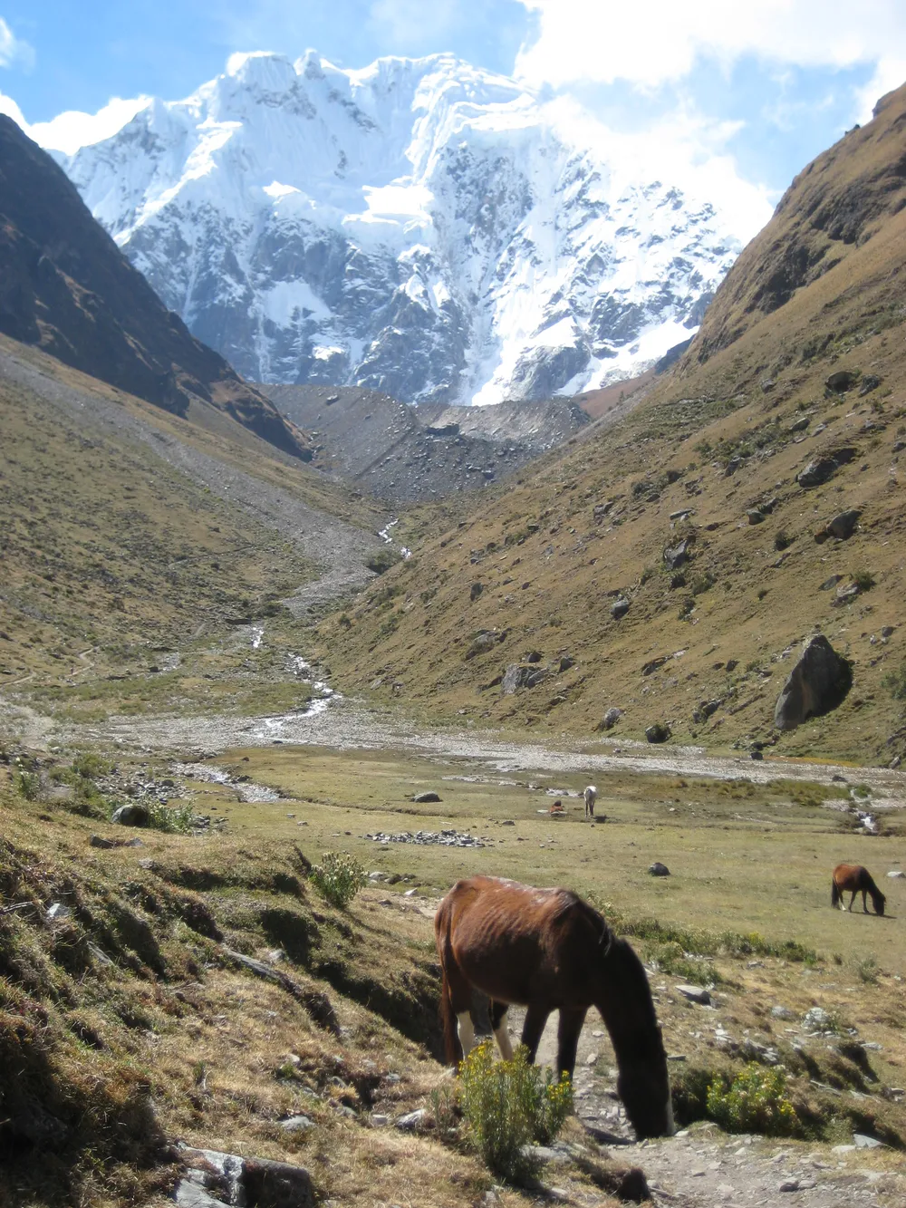 Inca Highlands