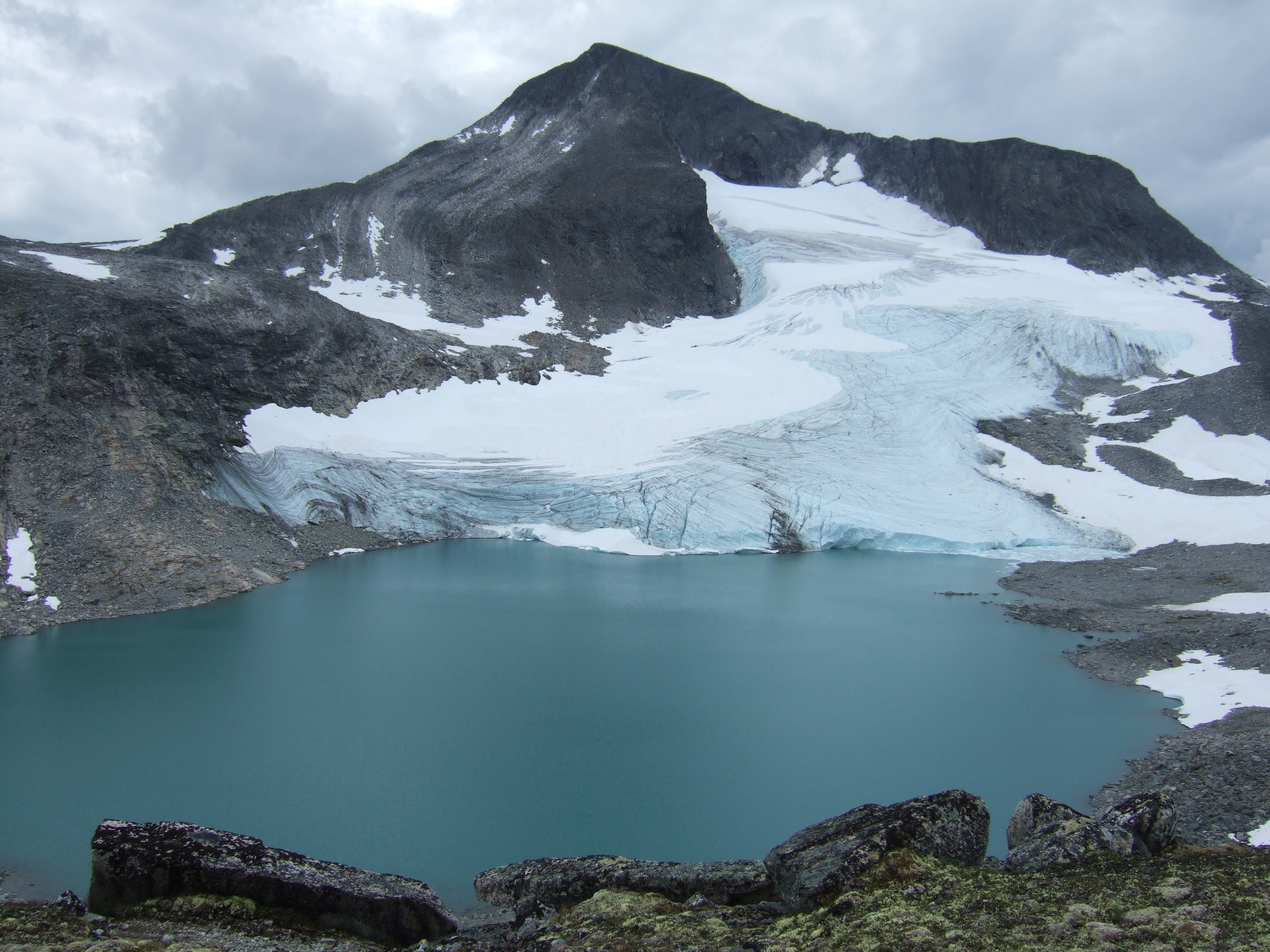 Tordsnose