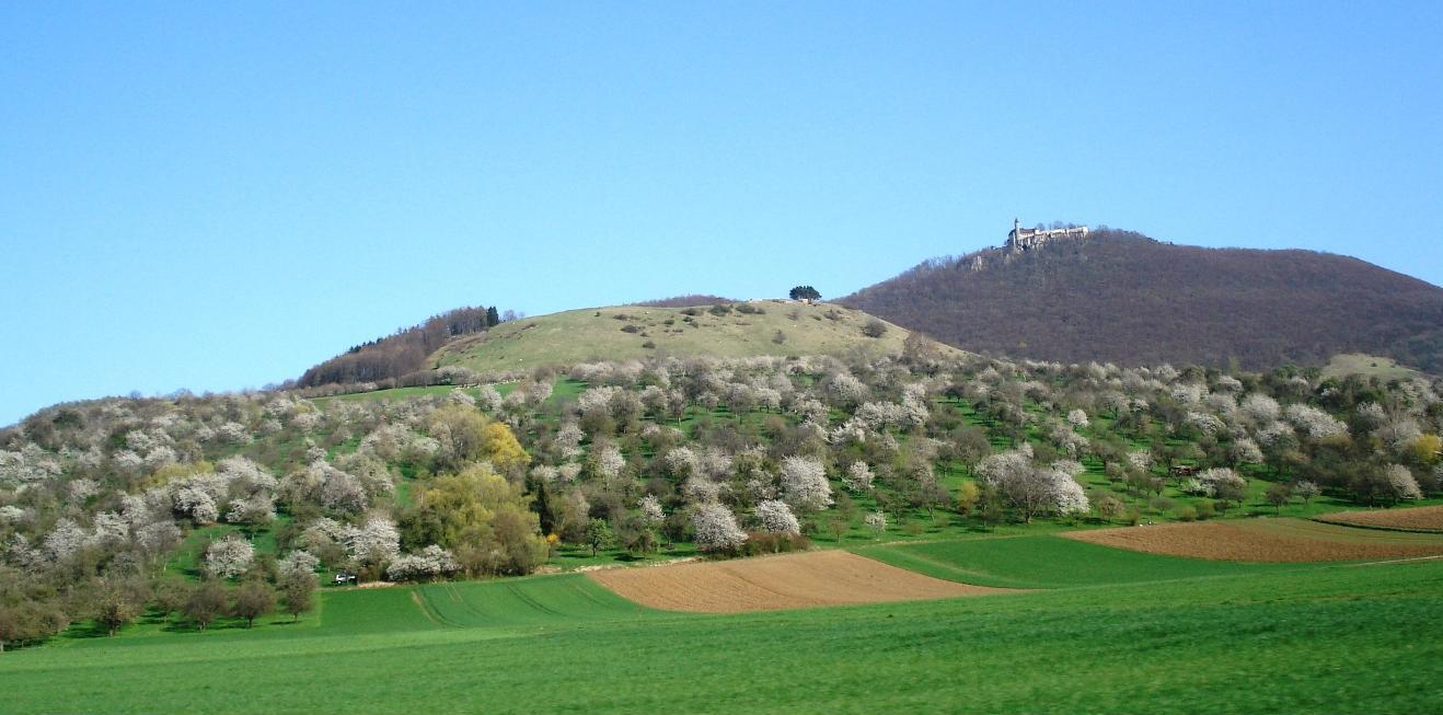 Hohenbol