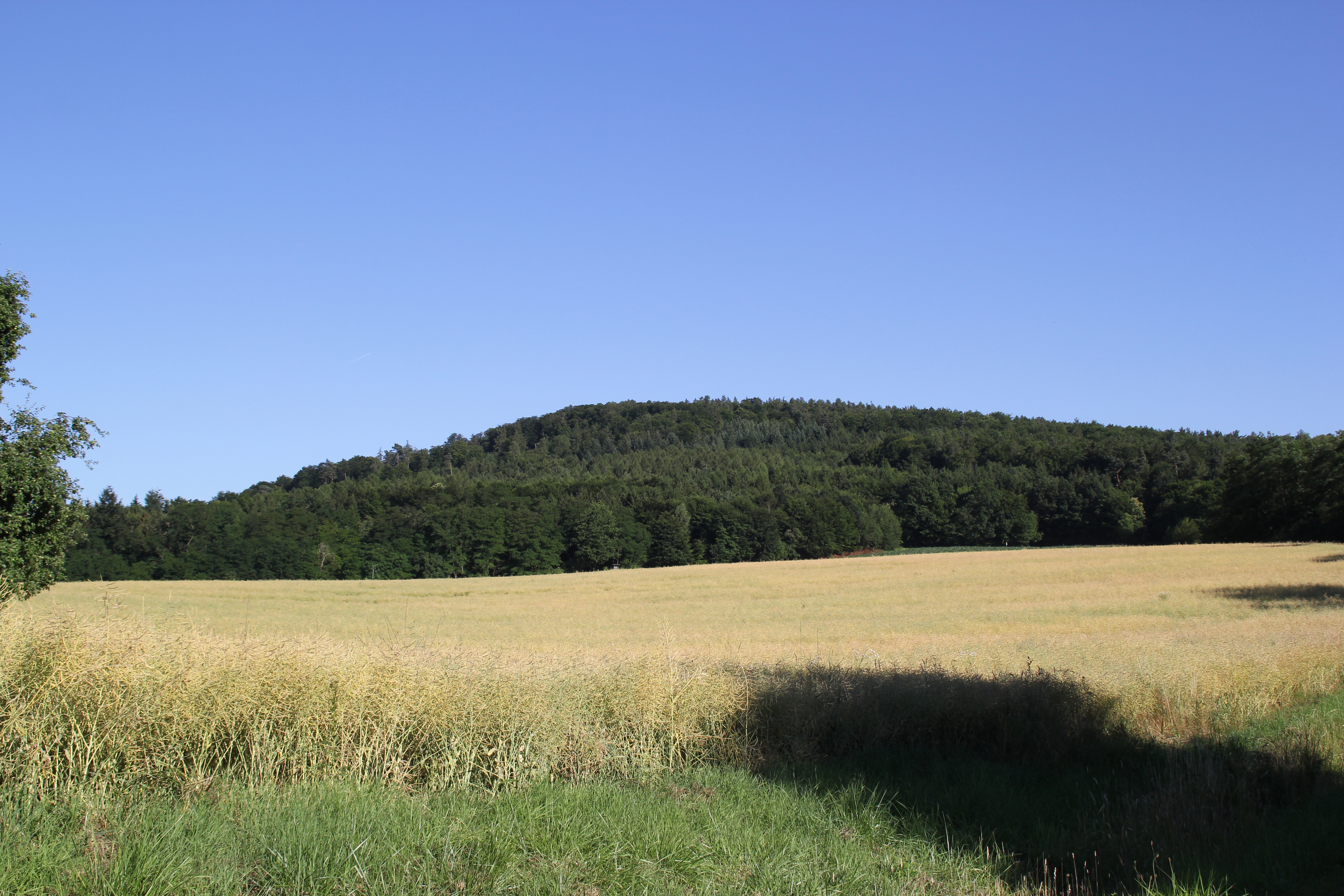 Schanzenkopf