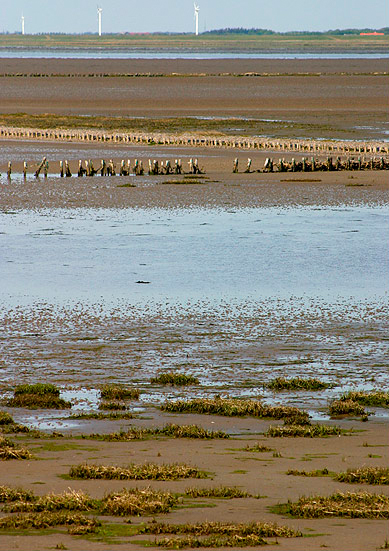 Wadden Sea National Park