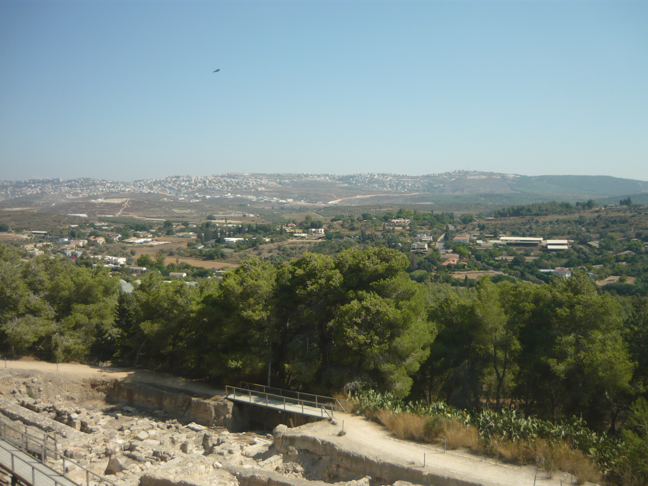Sepphoris