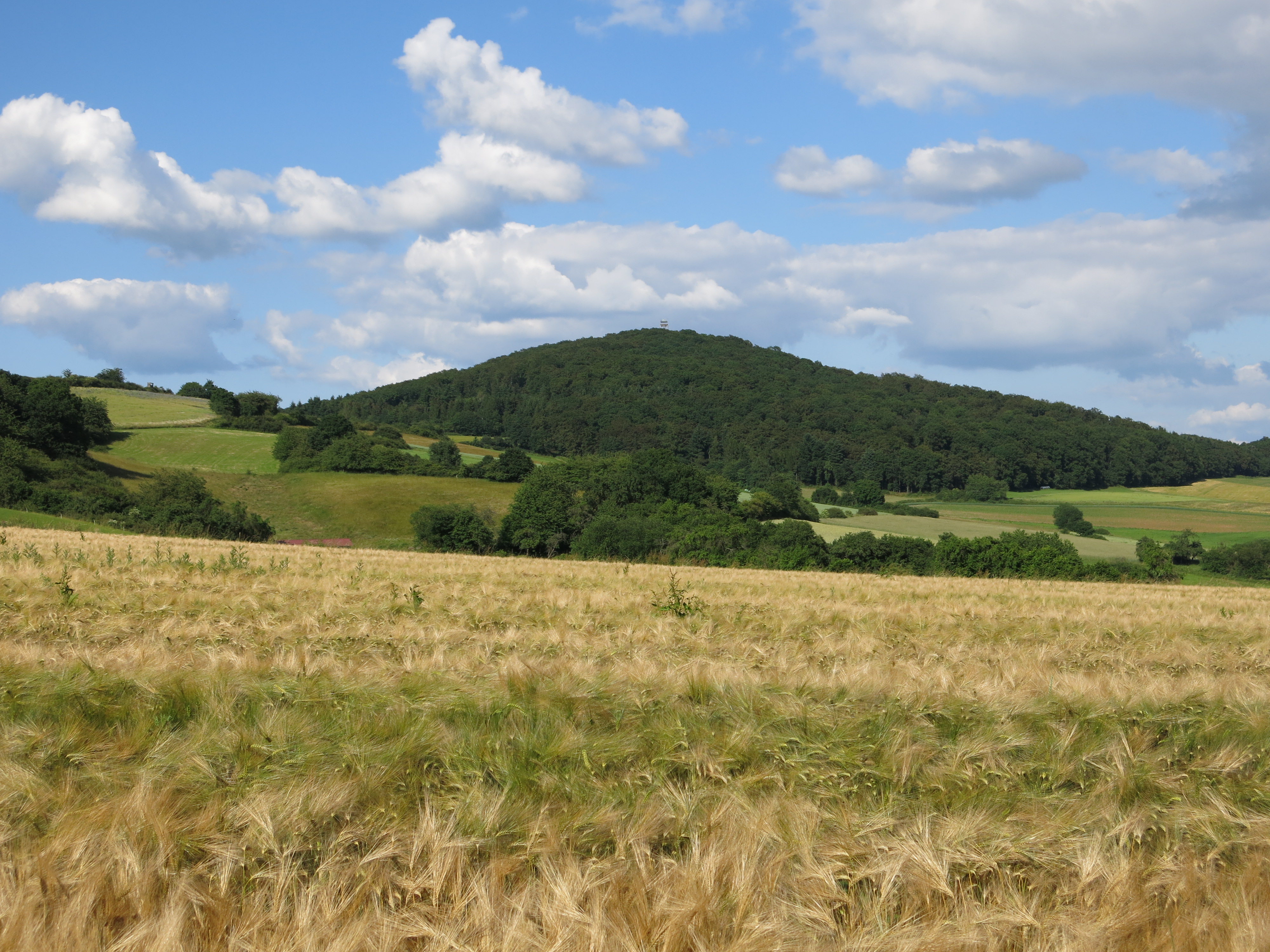 Rimberg