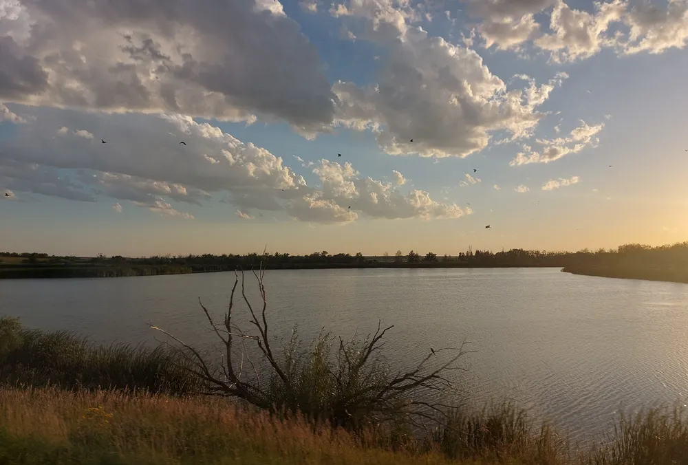 Thomson Lake