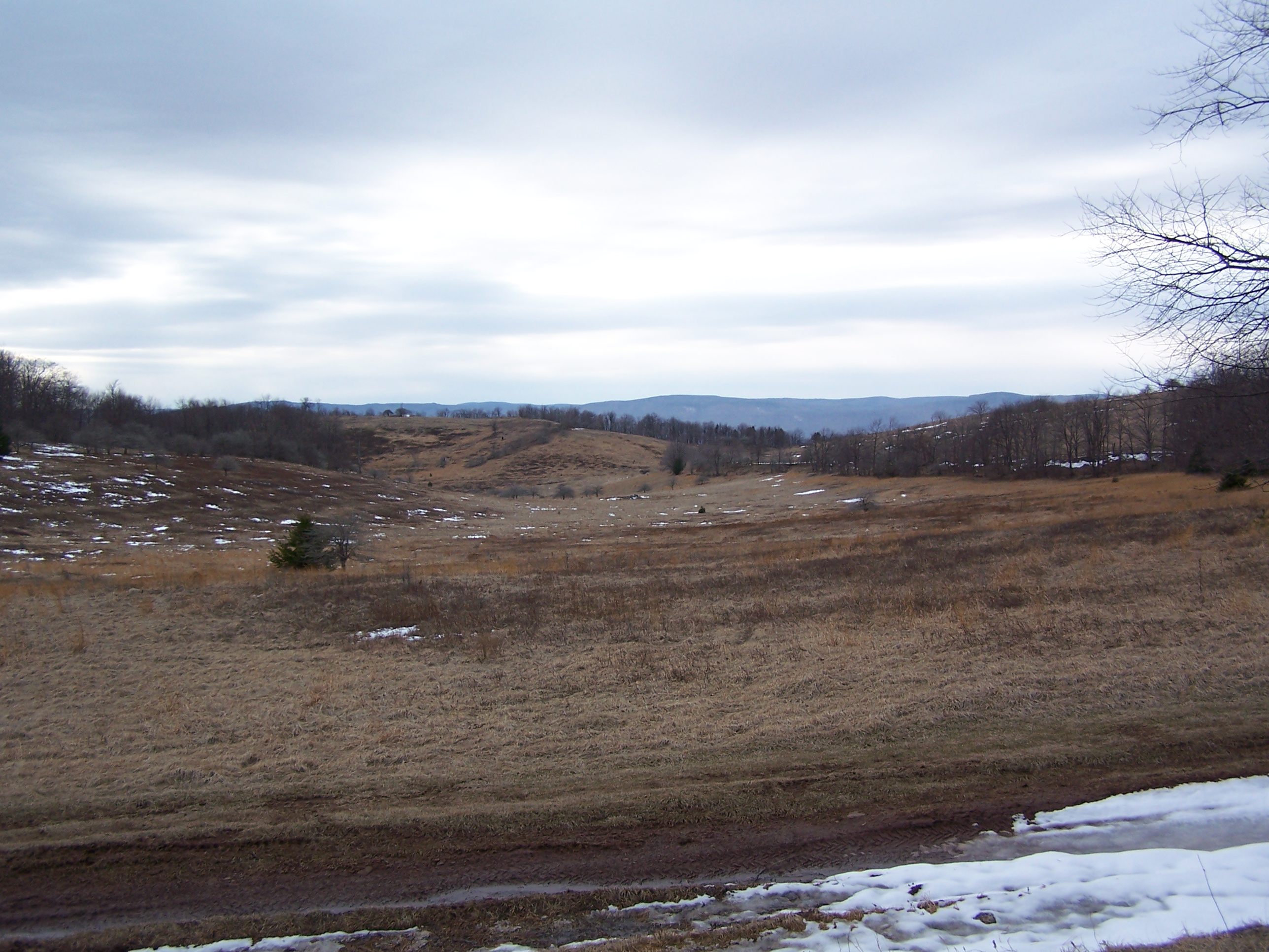 Allegheny Mountain