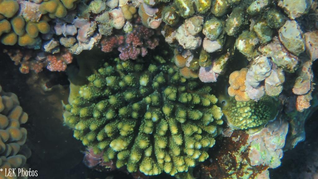 Nosy Ve-Androka National Park
