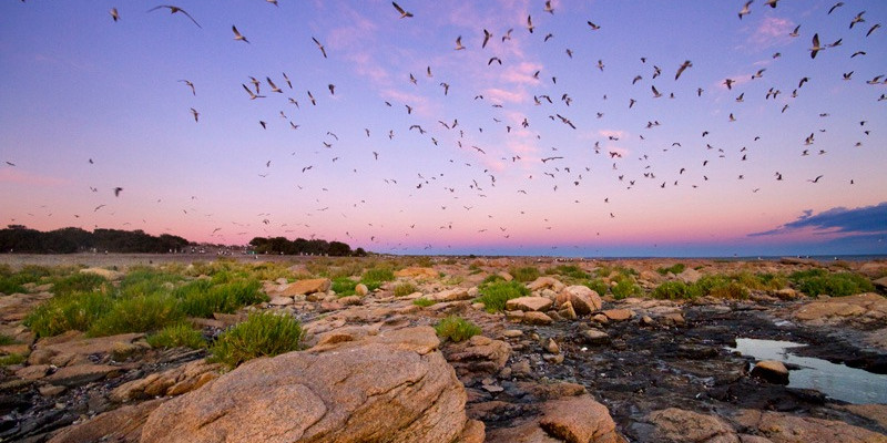 Islote Lobos National Park