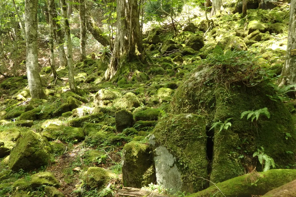 Nishiawakura, Japan