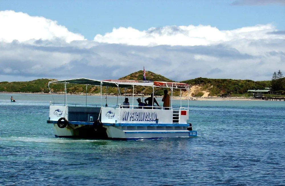 Penguin Island