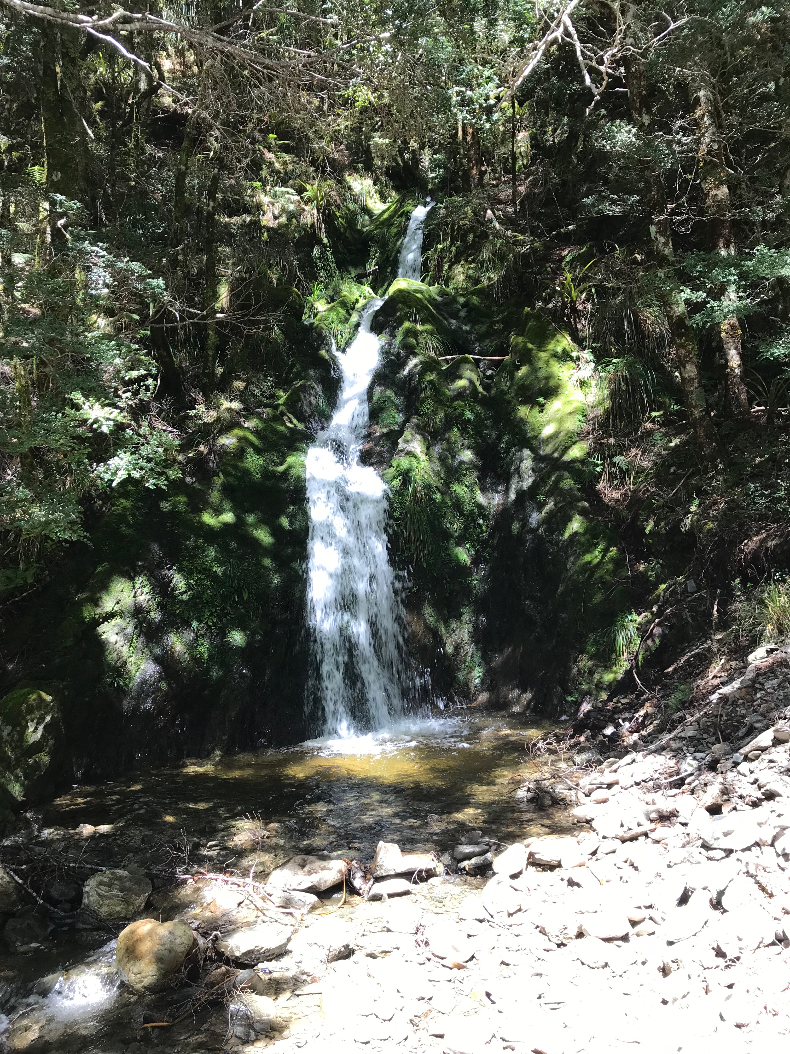 Wangapeka Track