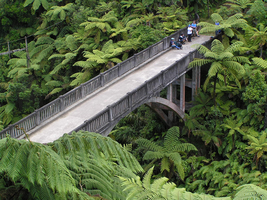 Whanganui National Park, New Zealand