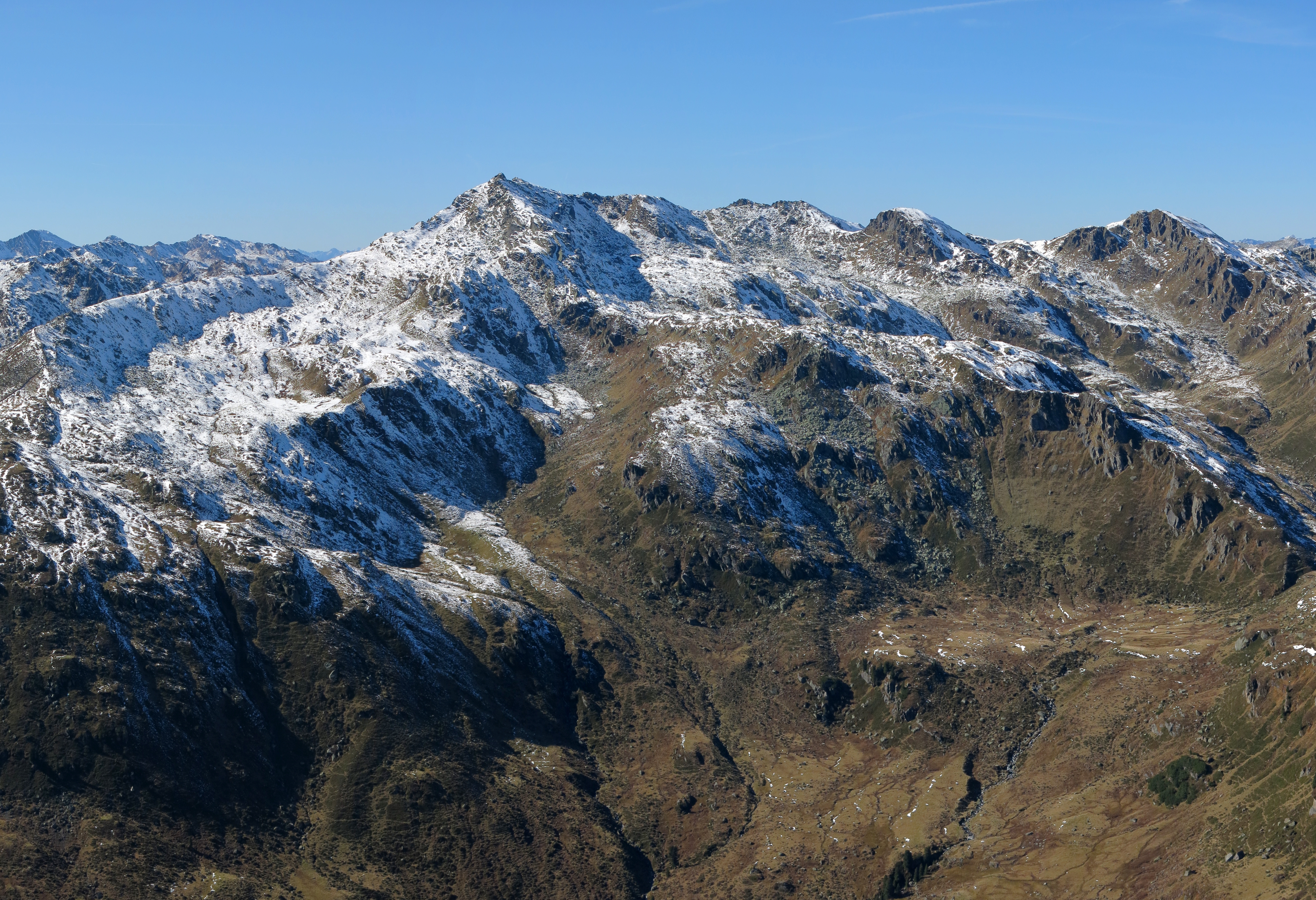 Salzachgeier
