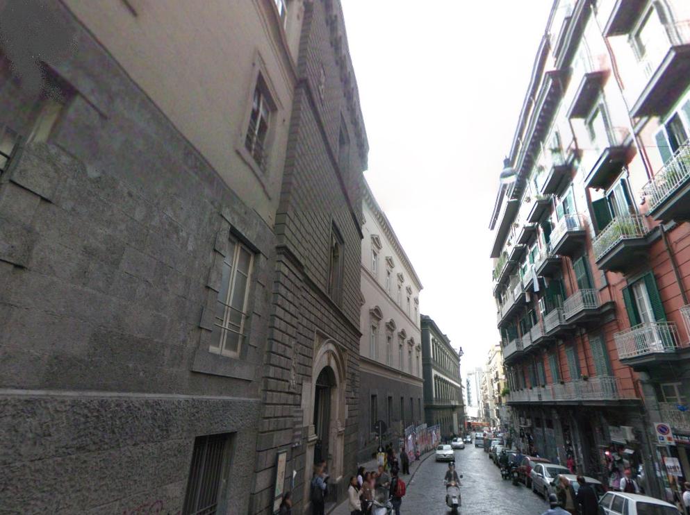 Zoological Museum of Naples