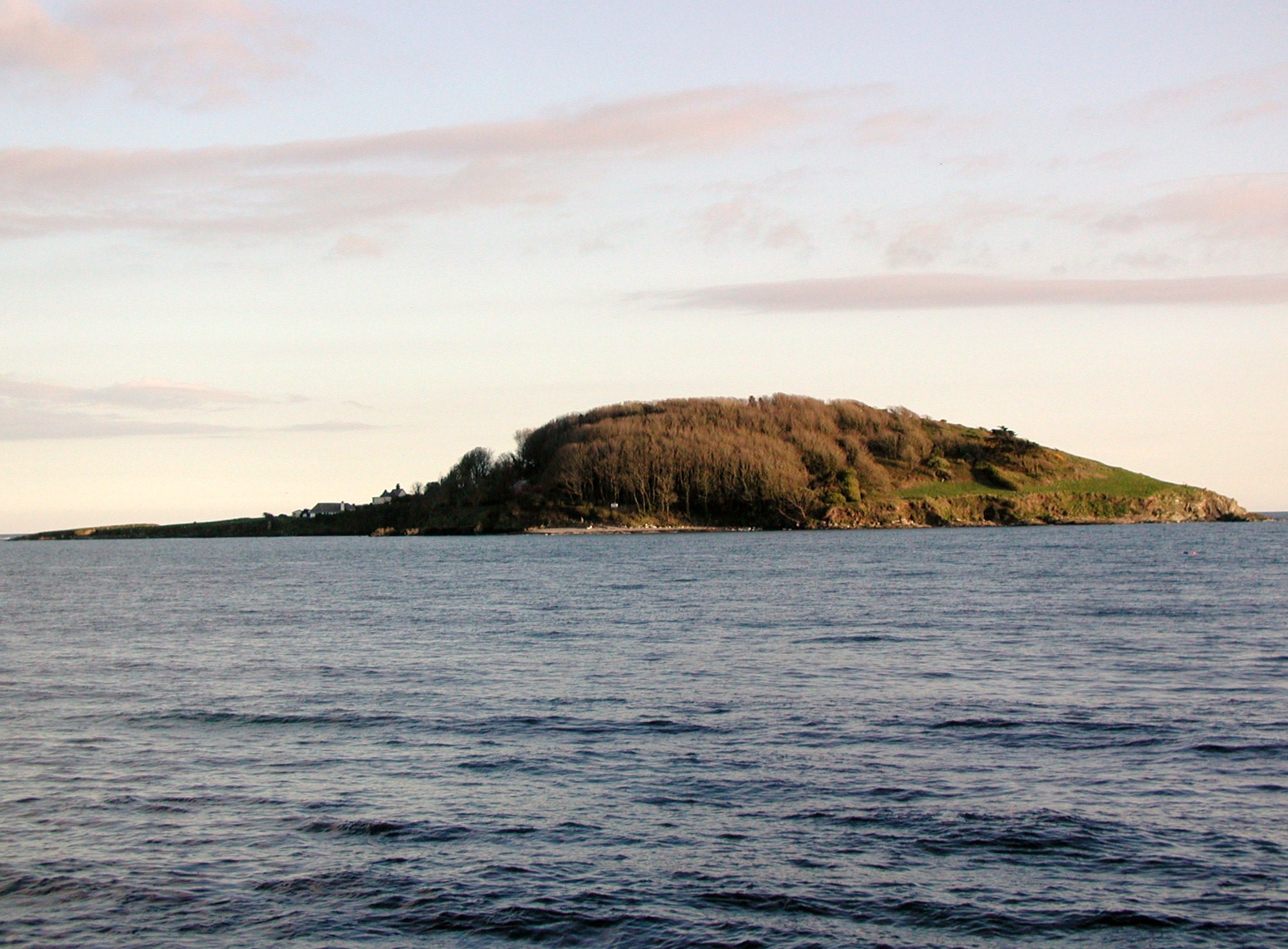 Trelawny Island