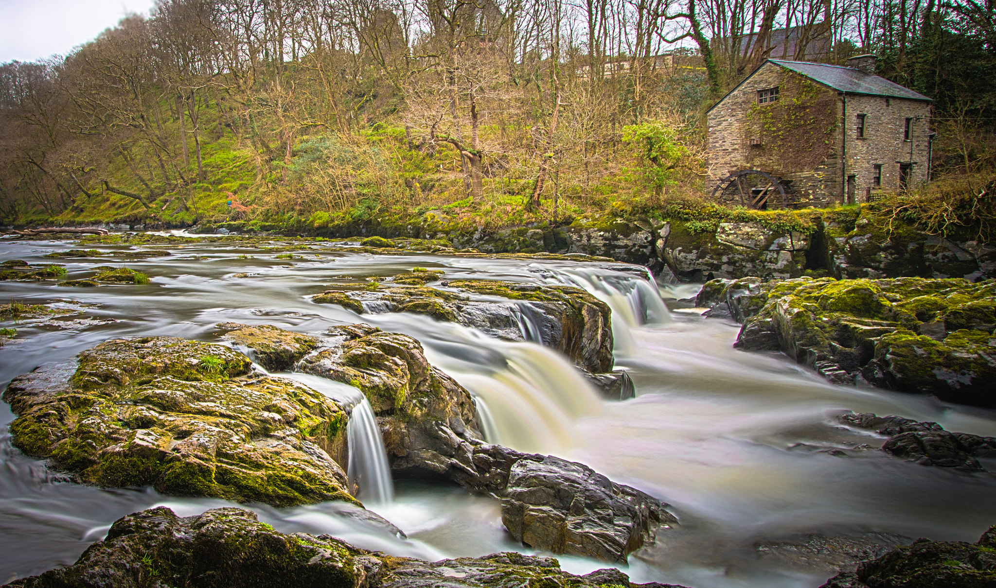 Cenarth Falls