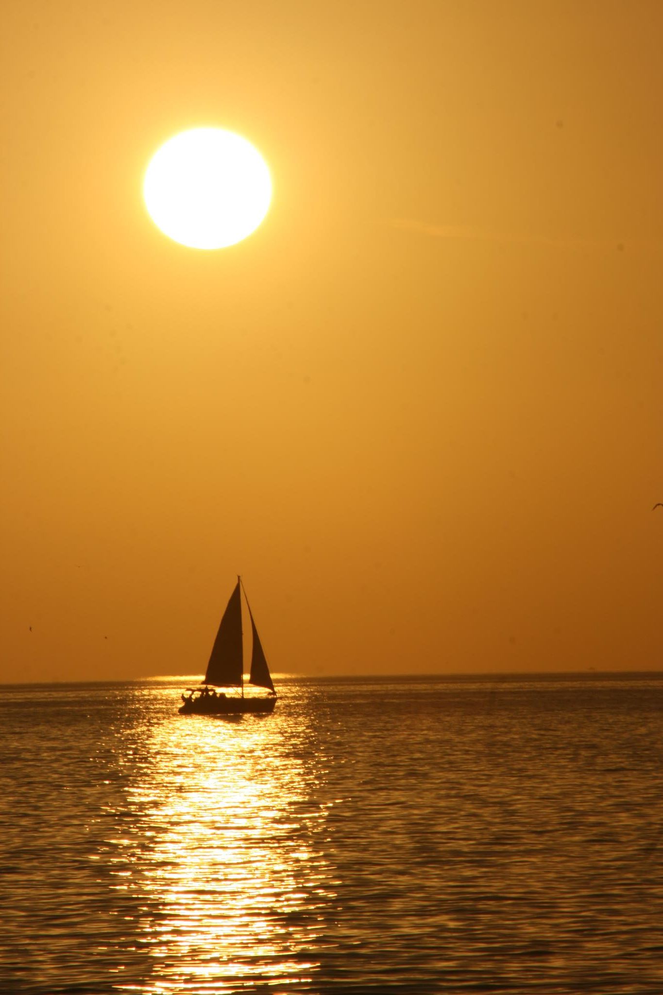 Sanibel, United States