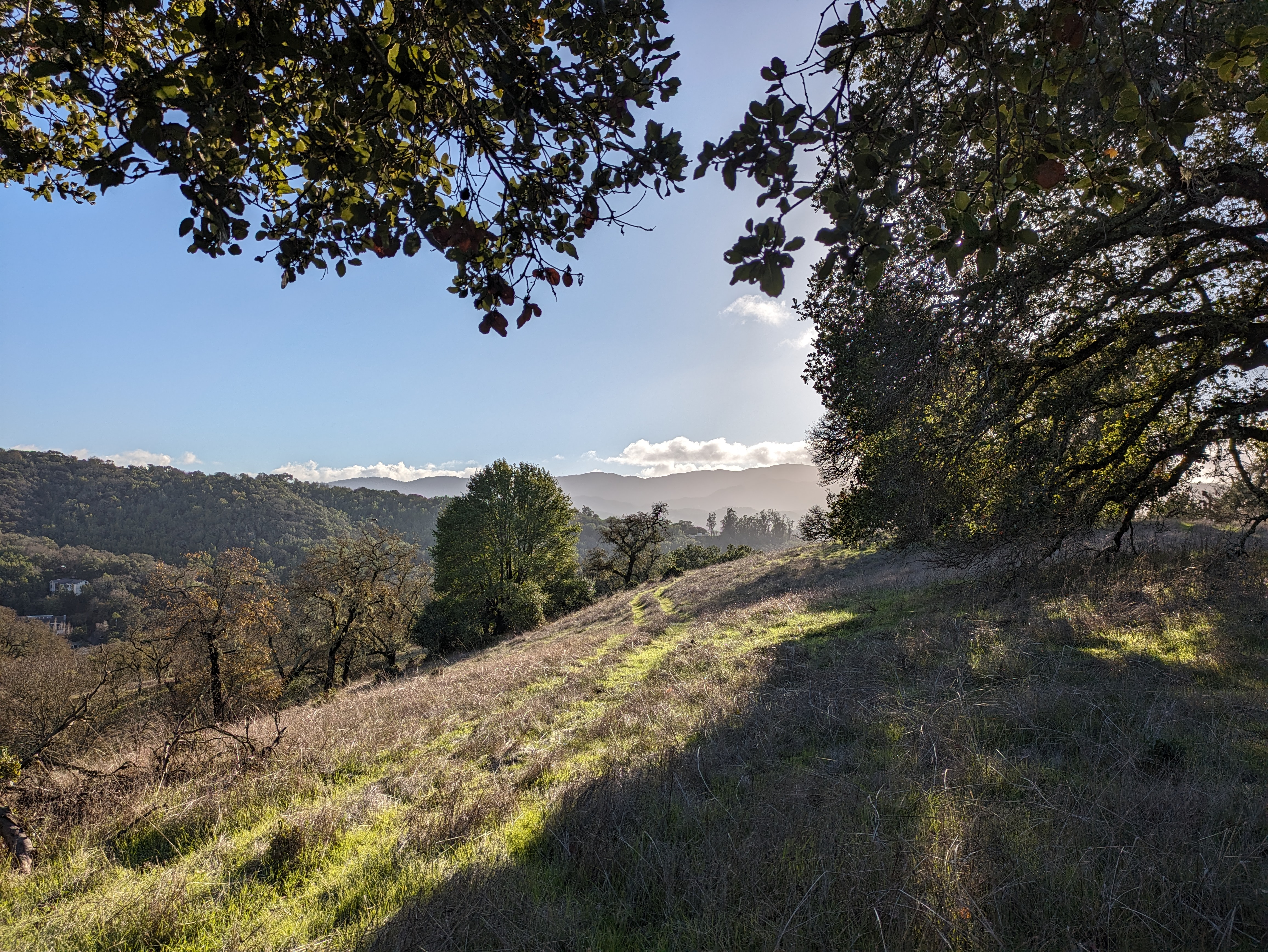 Novato, United States