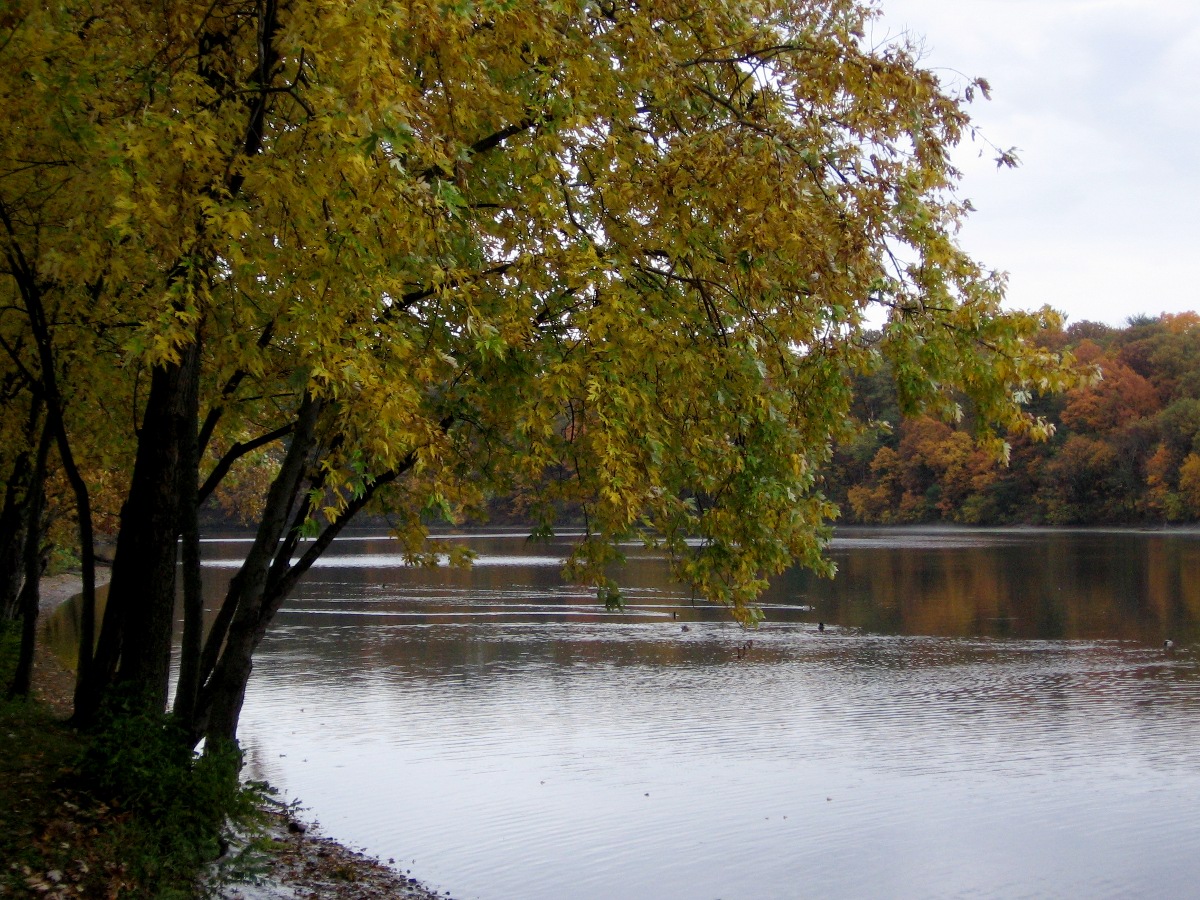 Highland Park, United States