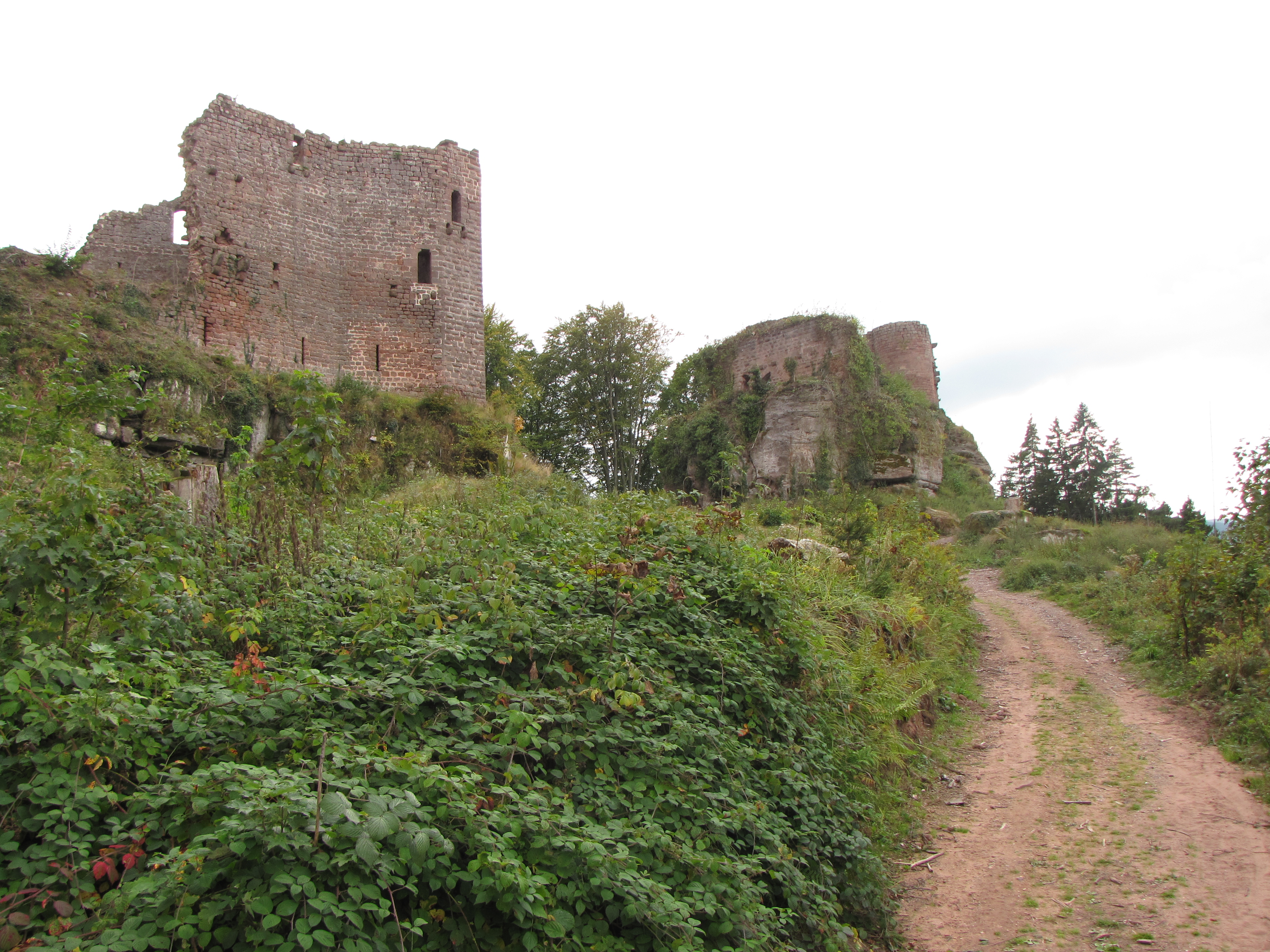 Château de Dreistein