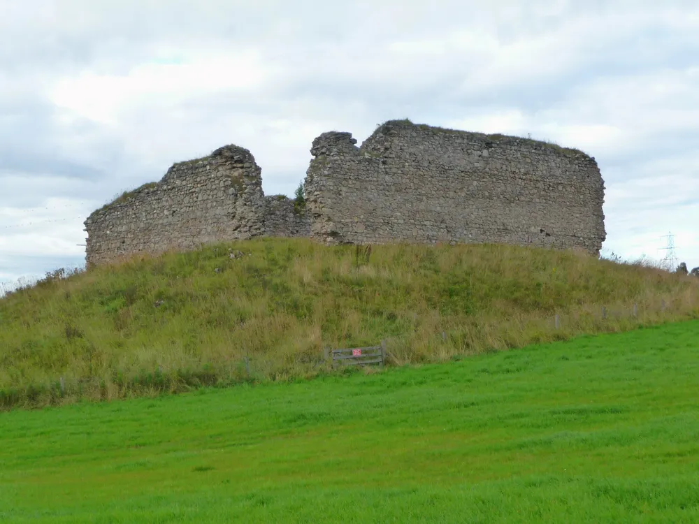 Castle Roy