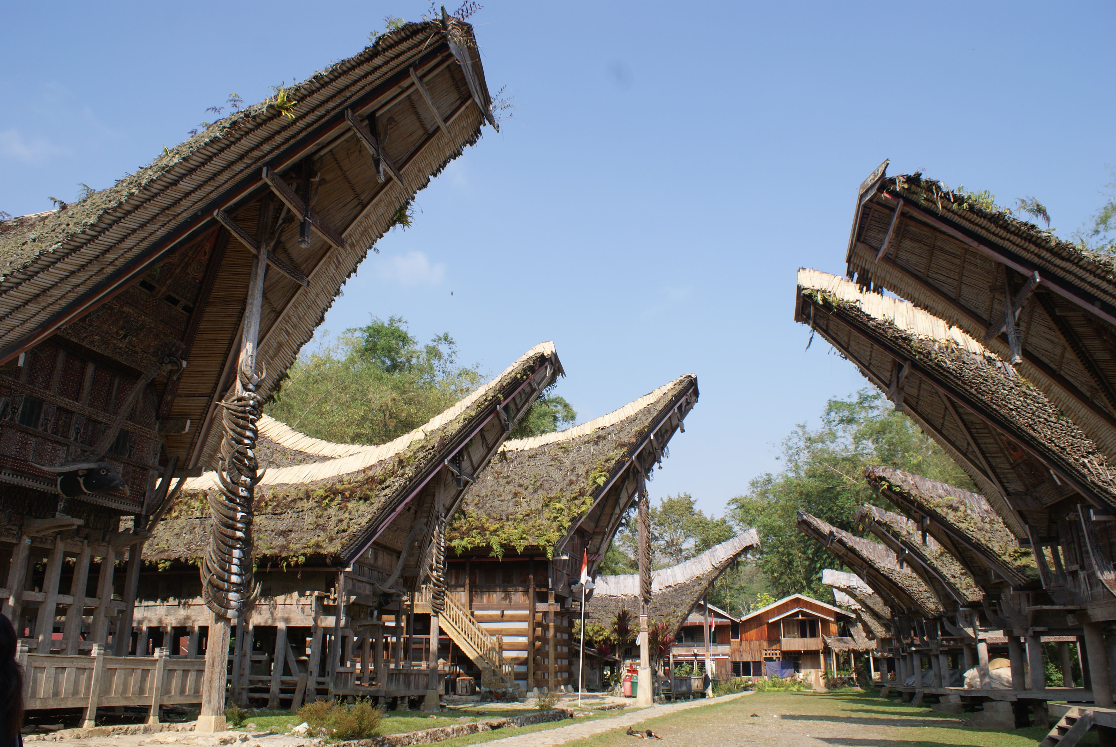Tana Toraja, Indonesia