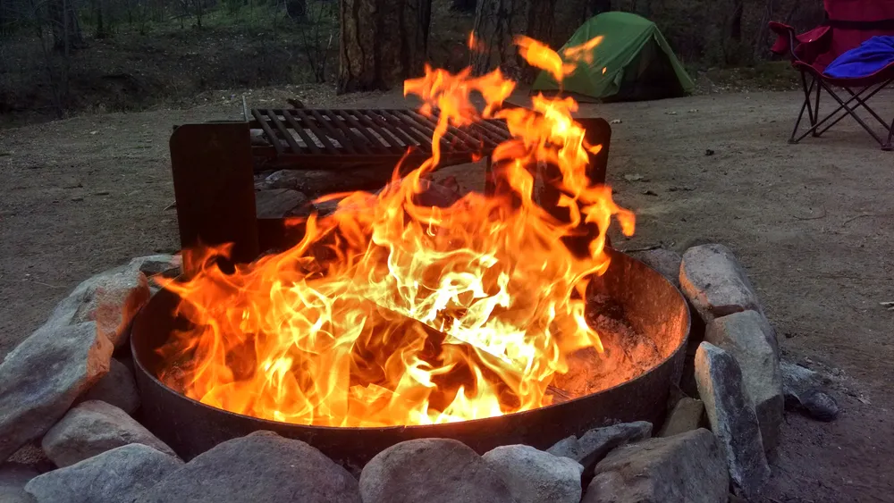 Wildfires
