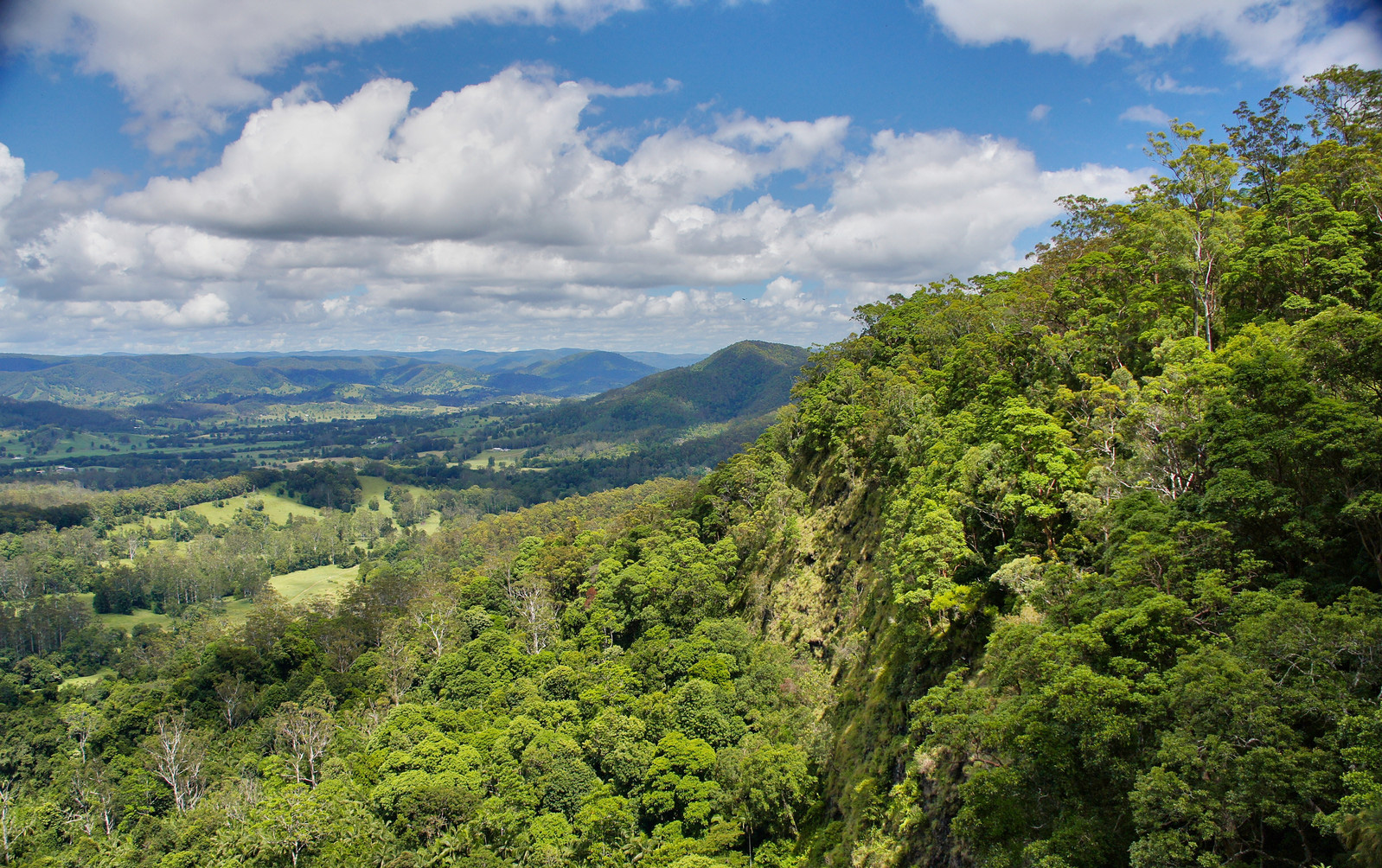 Mapleton Falls National Park