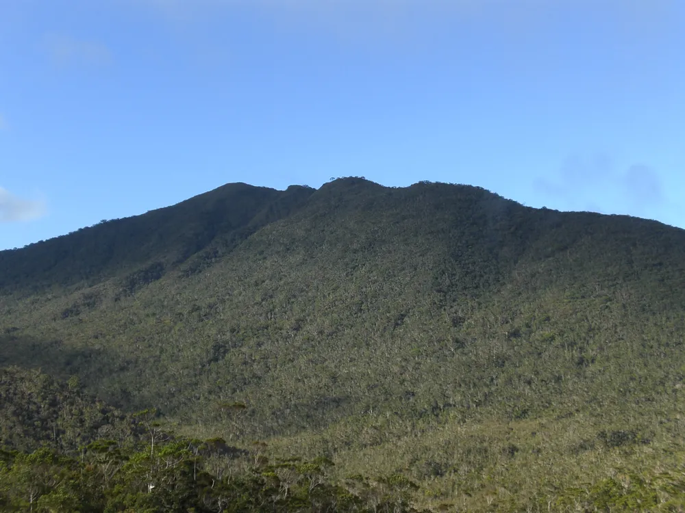 Mount Hamiguitan Range Wildlife Sanctuary, Philippines
