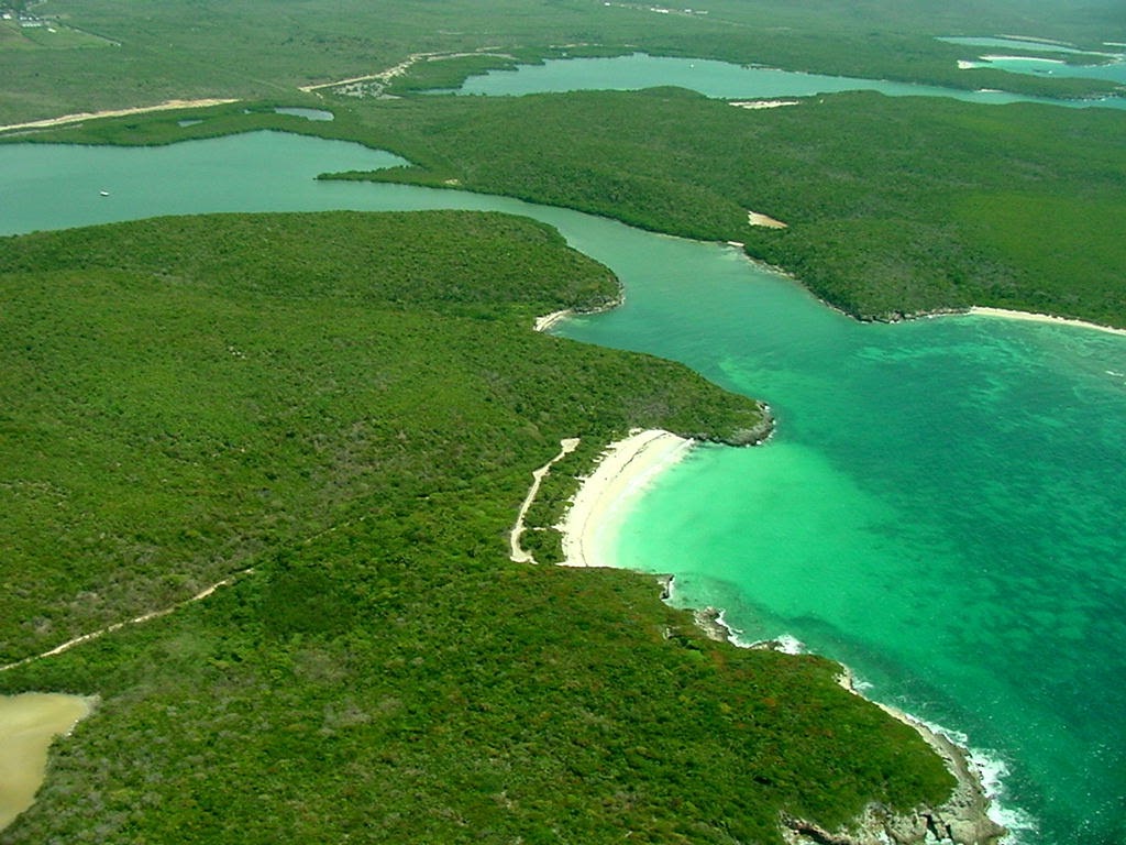 Vieques