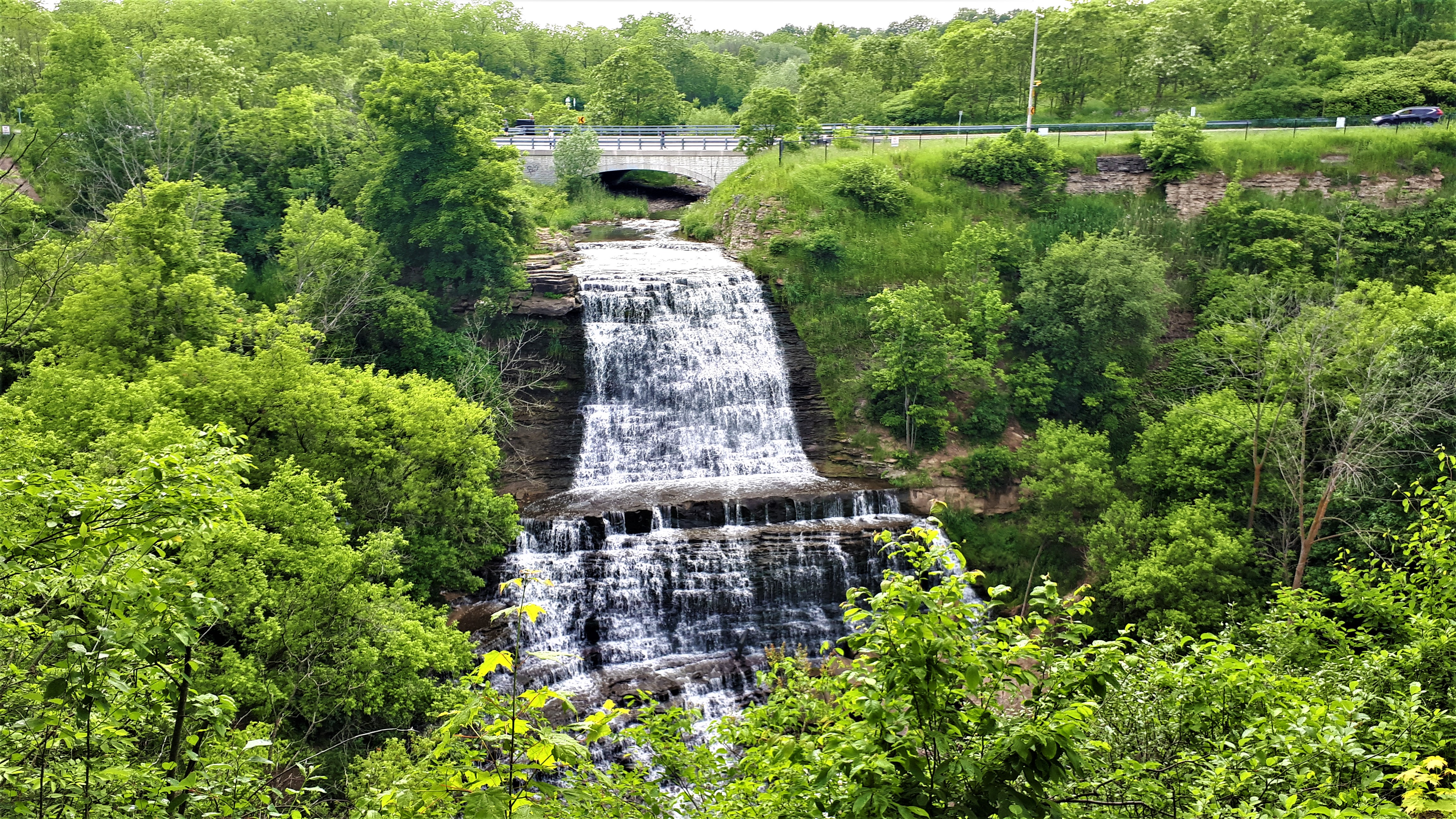 Albion Falls