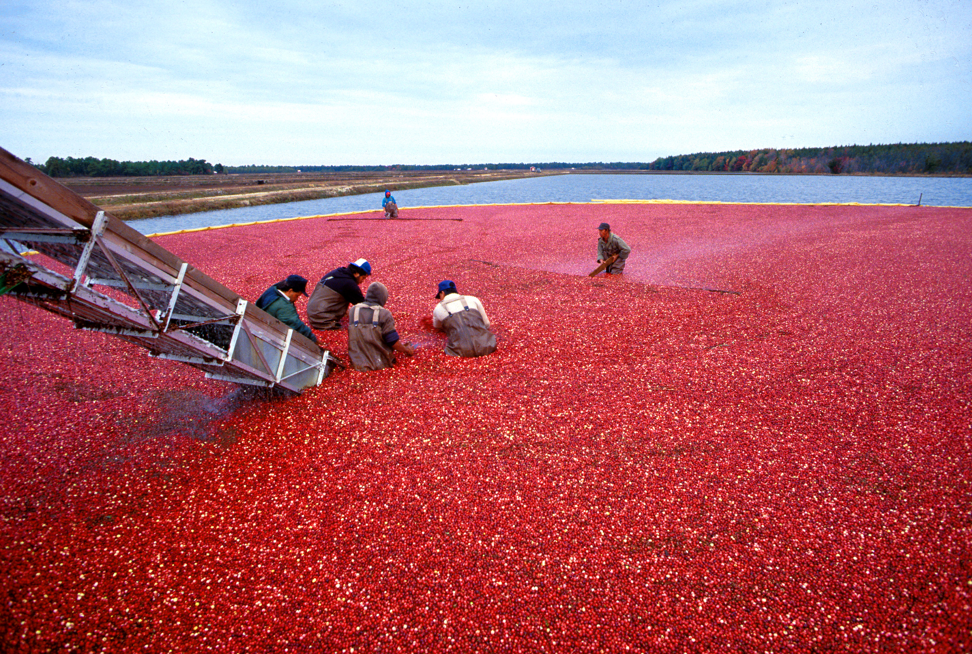 Carver, United States