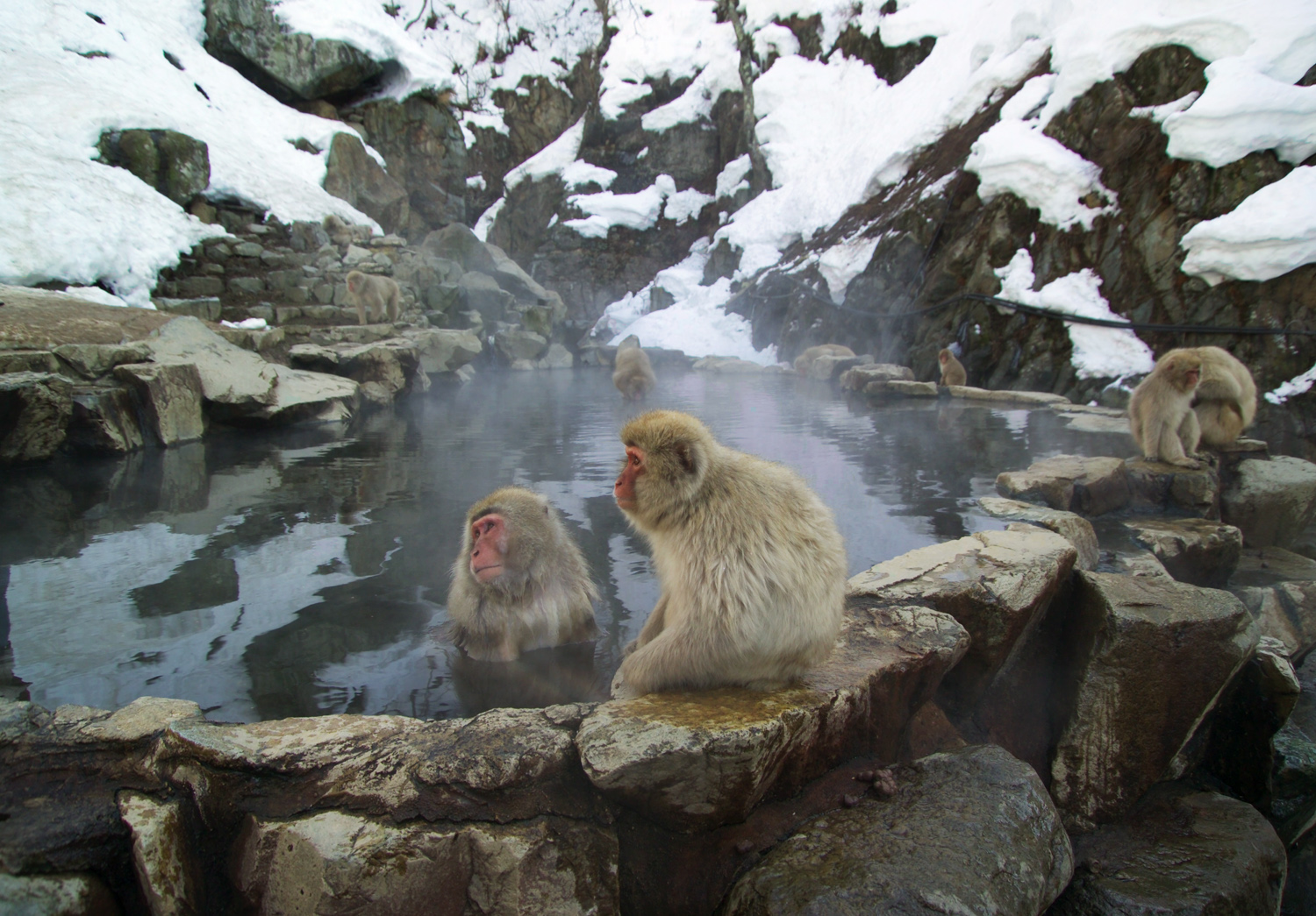 Yamanouchi, Japan